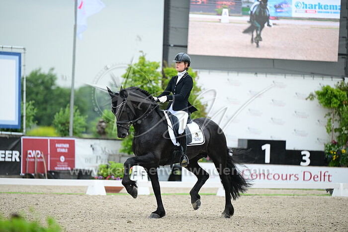 Franka Loos - Murk 540