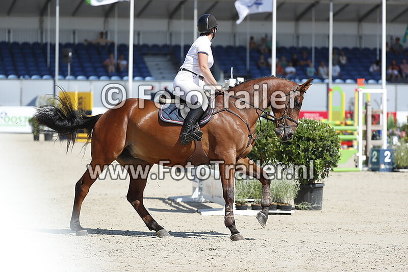 miranda spronk rienties