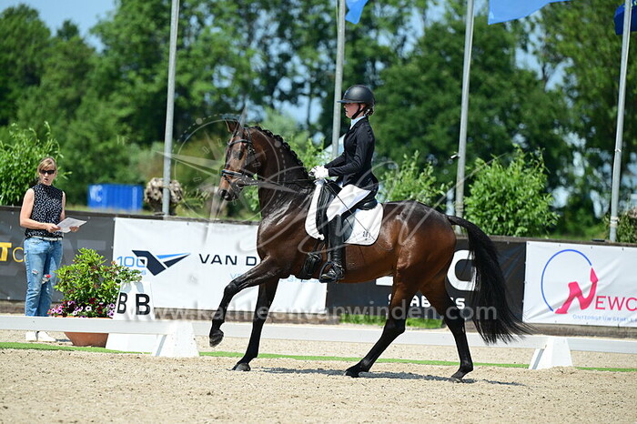 Joukje Wolff - Phoenix van de Prinsenstad