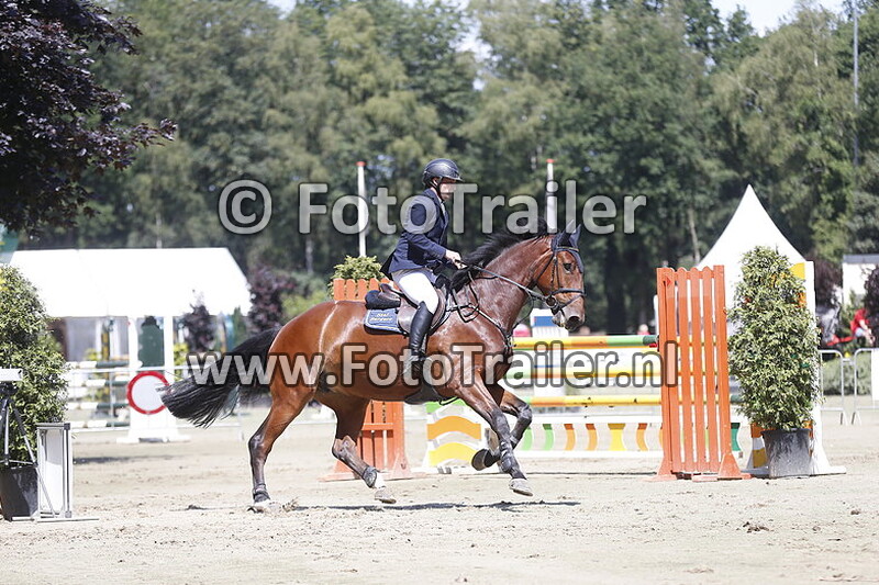 marwin van den nieuwe