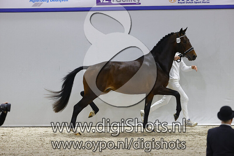 Neville v. Painted Black