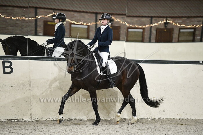 Jamie van der Woude - Iron