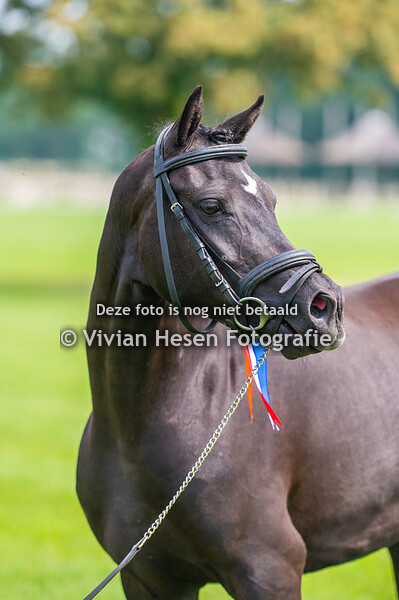 Regionale Keuring Sevenum