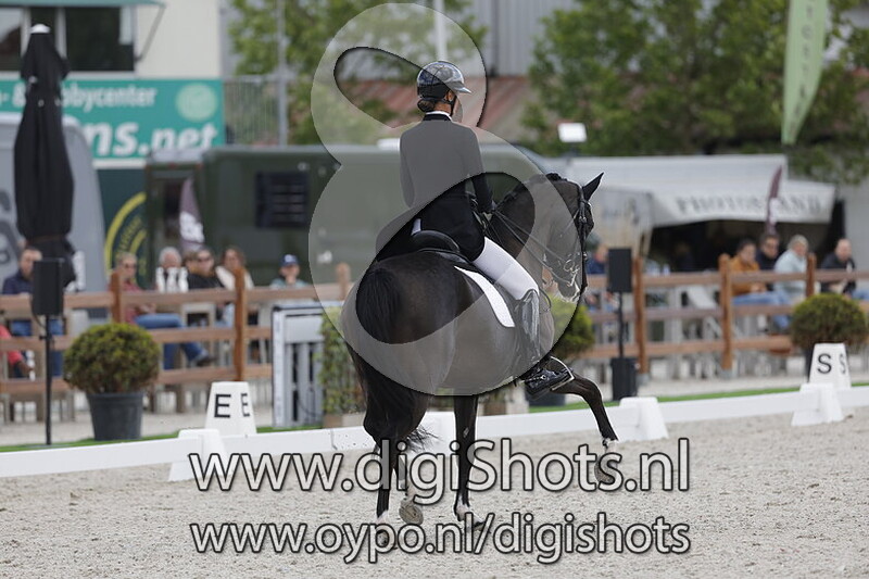 Lilly Rose vh Trichelhof