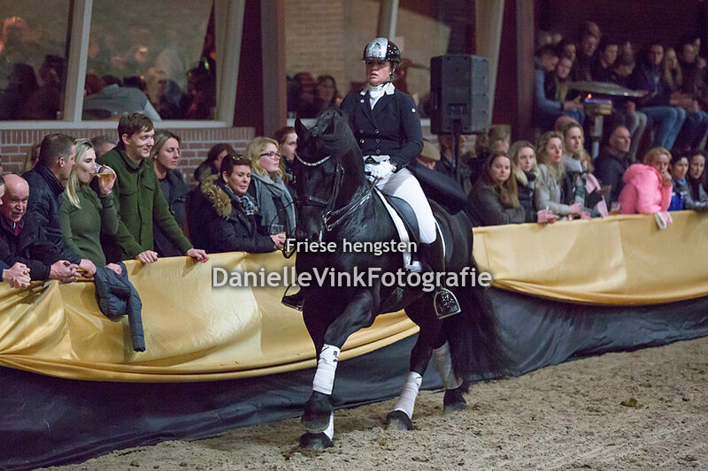 Hengstenshow Lunteren 24-02-2018 - Erryt 488