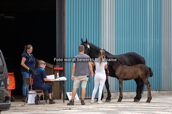 57. Nynke van de Spekebeemden