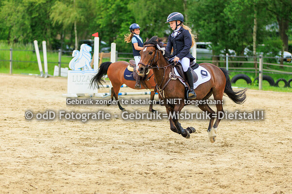 CH Manege Sintels Pony 80 c 19-05-24