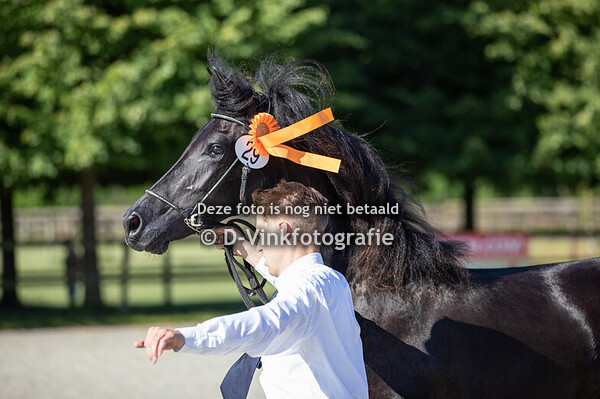 Rubriek 03 entermerries