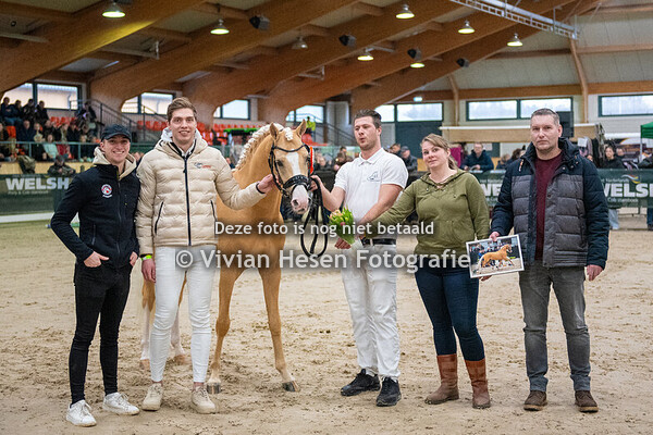 Stamboekhengsten WPBR