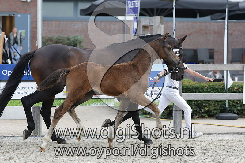 Vavorite Twin Brother v. One Million