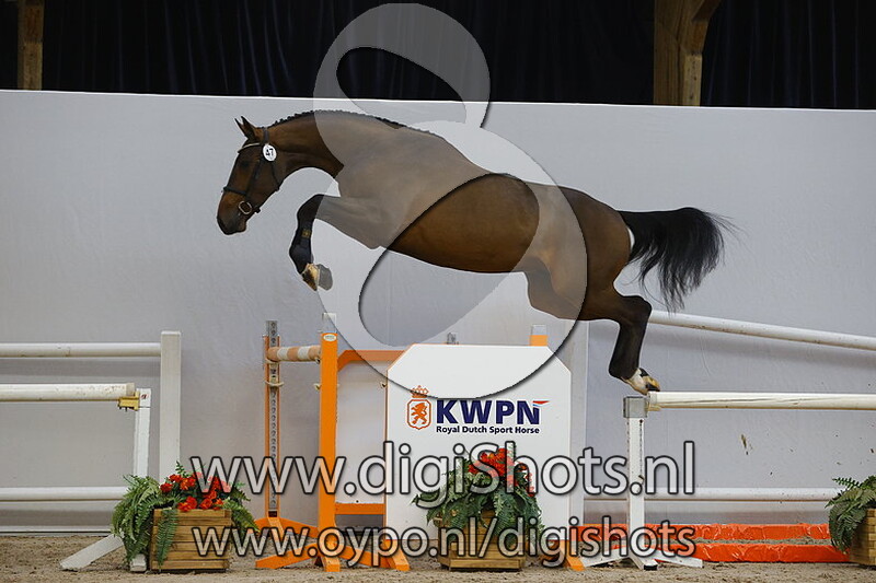 Neymar B v. Comme il Faut