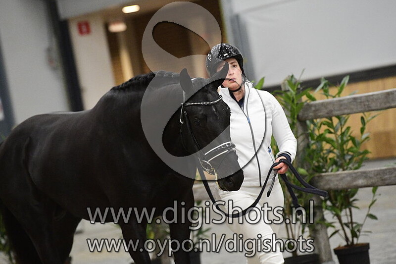 Rein Ter Kwincke v. Las Vegas - 448