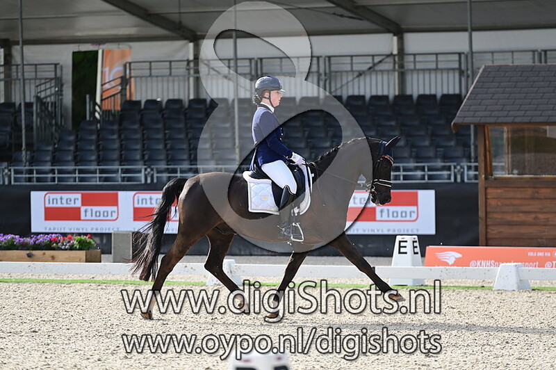 King Stayerhof's Jango