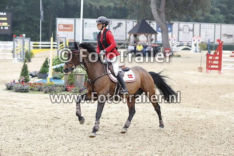 Noona Wildfang Linde