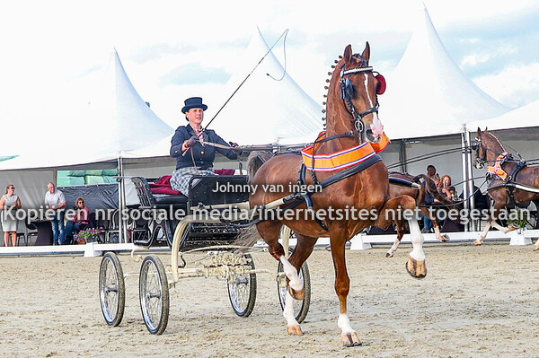 CH Siegerswoude 2025