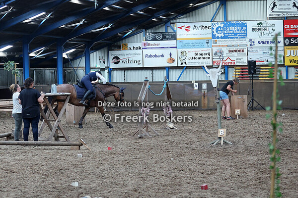 Working Equitation Wedstrijd – 29 juni 2025 – Manege De Driesporen, Onstwedde