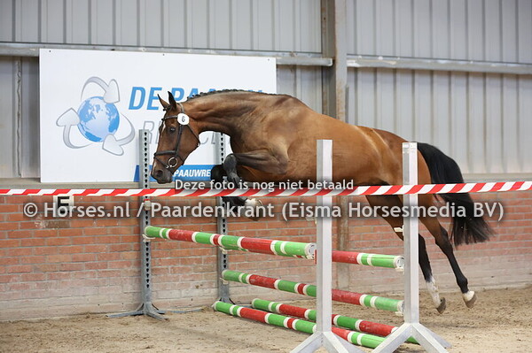 6 O'Loco (Justice x Il Demico v. Namelus R)