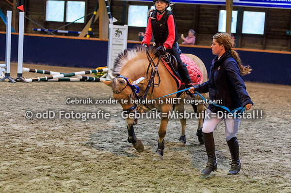 Geldrop Hippique oefen prog 20-30cm 12-10-25