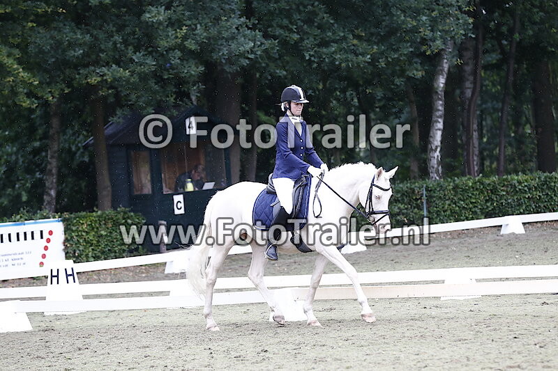 Wit paard met blauw dekje