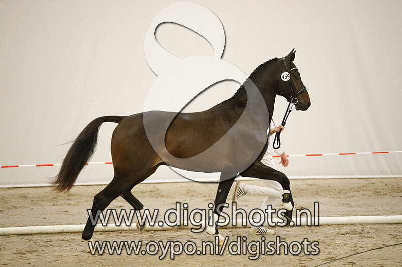 459 Legend v. Governor