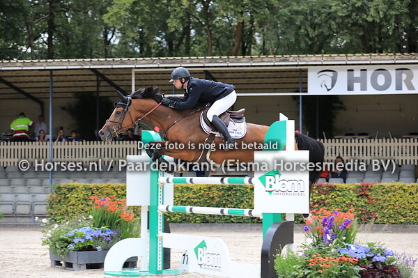 347 v Habrina v Eldorado