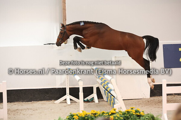 10 Dow Jones (Dourkhan Hero Z x Corrado !)