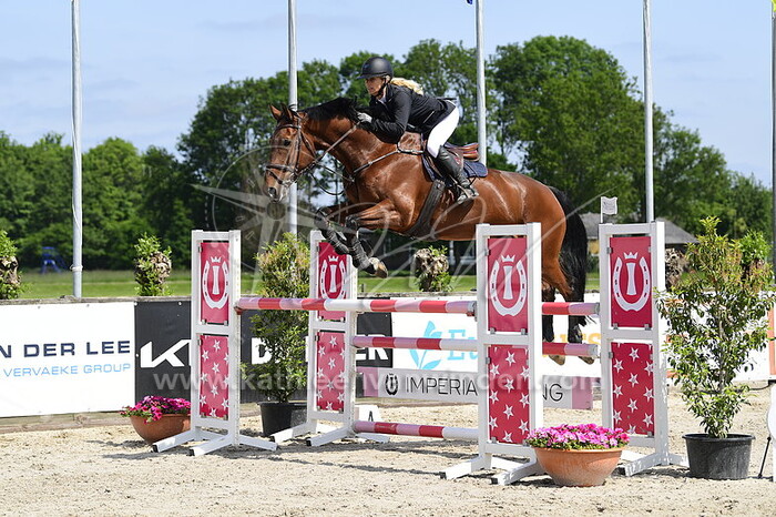 Erica Dijkshoorn - Gradino