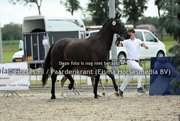 88 Iralieta (v. Cachet )