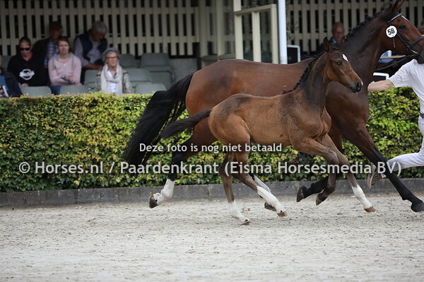 58 Omega SR (v. Jacqet-Go x Izzy v. Harley VDL)