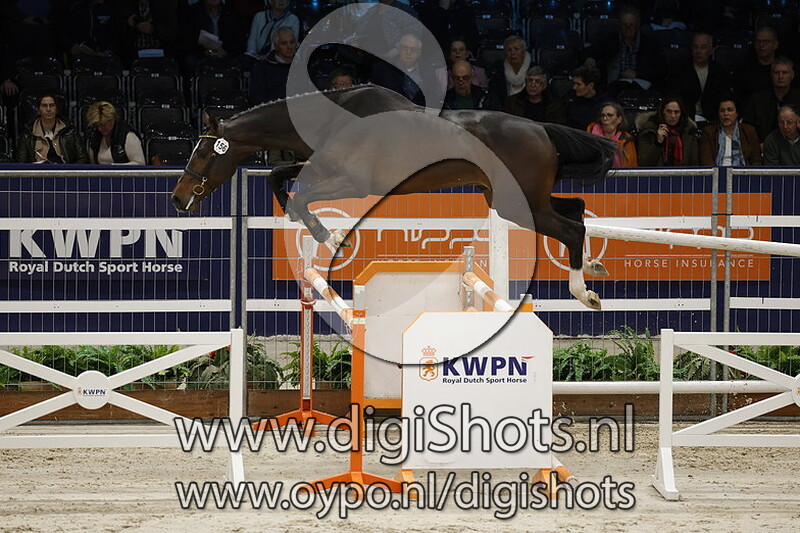 Zoom Zoom Lf Star 2p Z v. Zambesi - 156