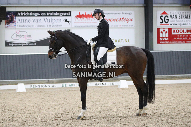 De Voornruiters De Meern Dressuur 27-11-2022 13.00 uur