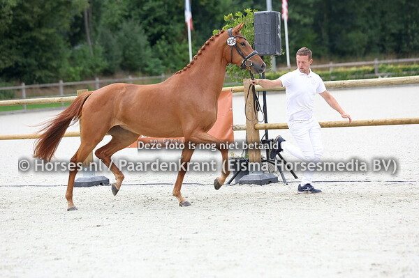 236 Soie Rouge d'Alice EMJ (Mac Madison x K'Alice v. Gotcha Utopia)