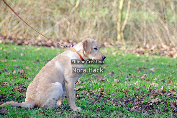 Zondag 19 januari 2020