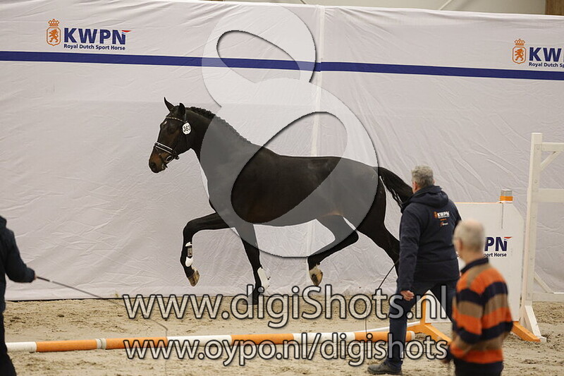 Sinisterra PLH v. Fynch Hatton