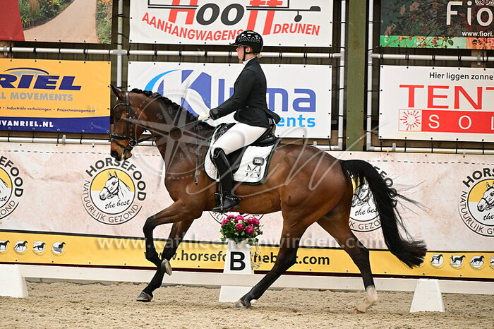 Marlieke Wortelboer - Prince