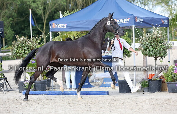 3 en 4-07-24 Houten STBK en CK