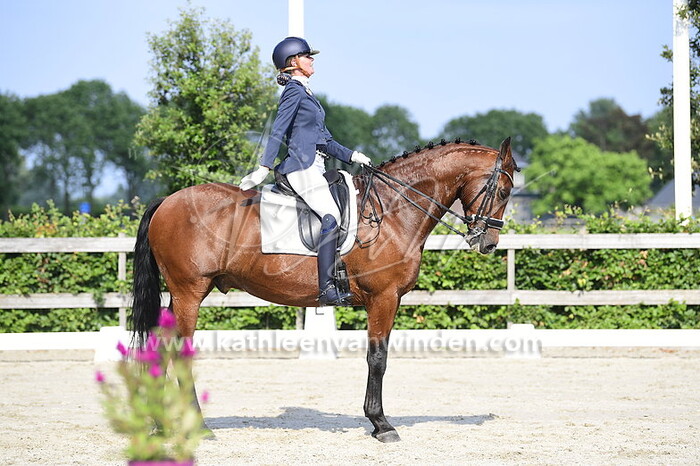 Annelies de Kamper - Grandioos