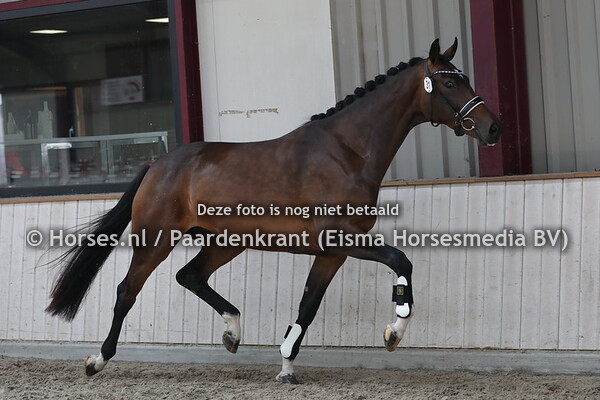 31 Nova Ferdeaux x Barlette v. Johnson)