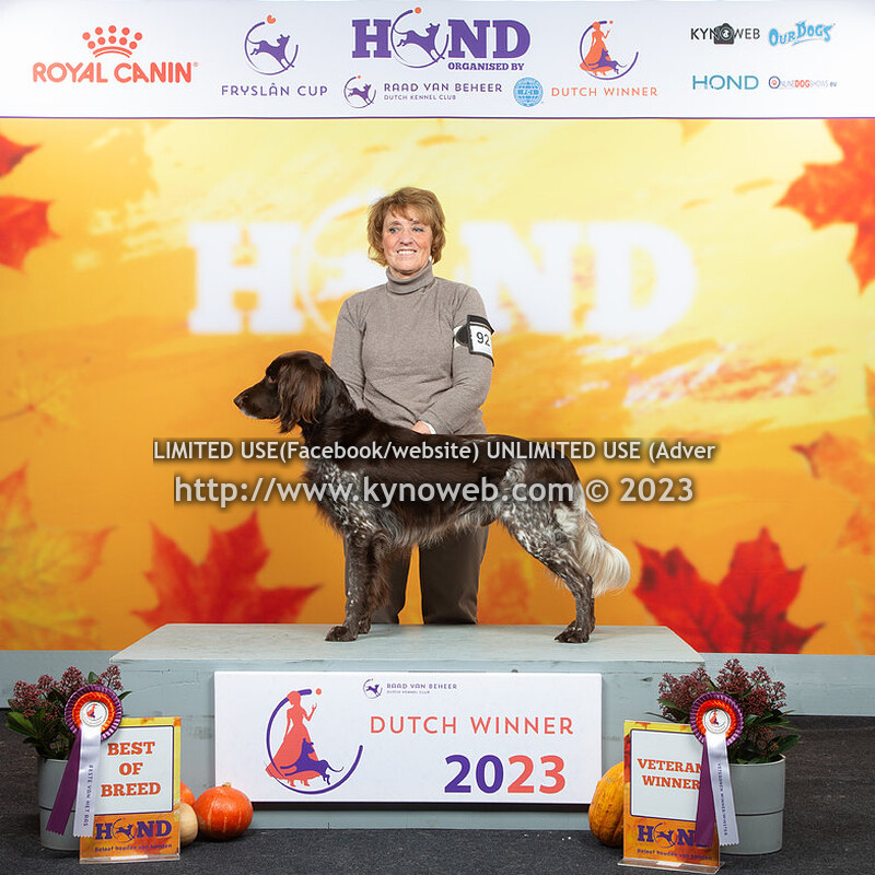 BEST OF BREED & EXPRESS