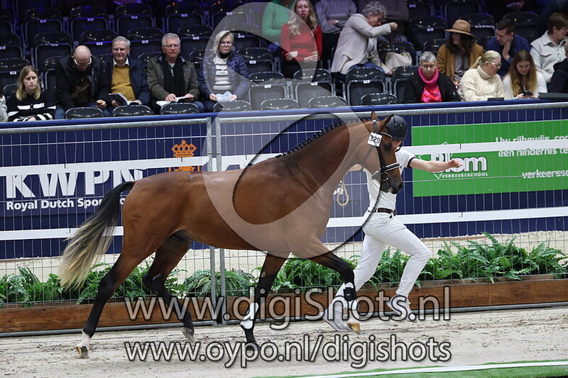 Sir Ceroon Norel v. Expression