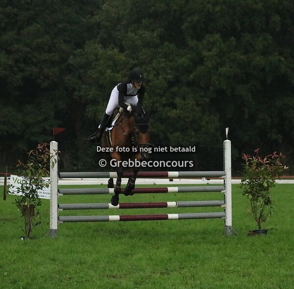 Dressuur & Springen - Fotograaf J. Roelofsen