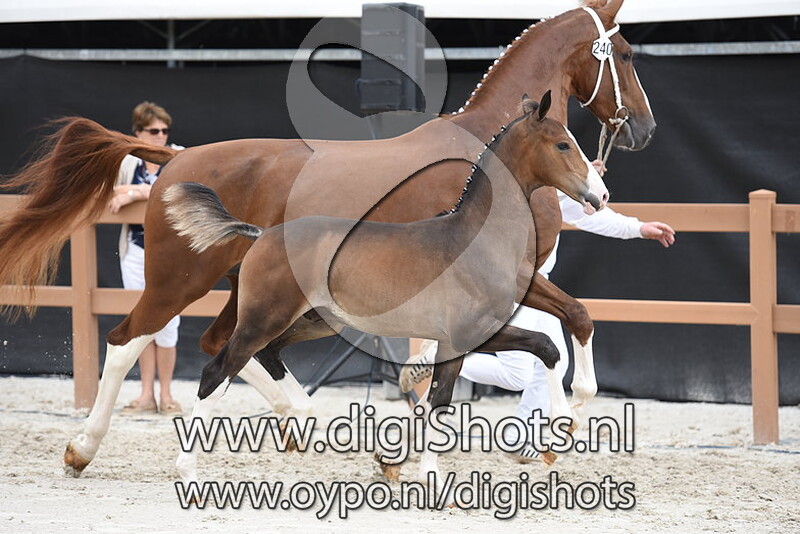 Never Mind v. Icellie