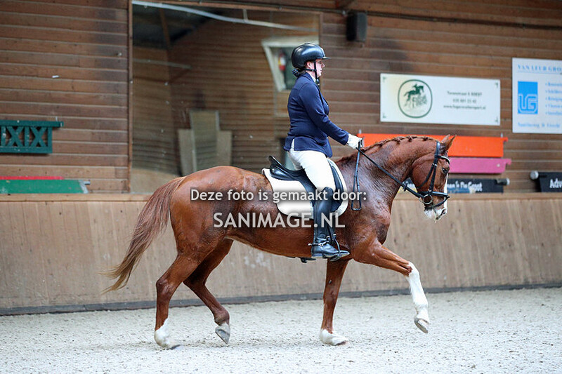 PV Midland Dressuur 18-02-2023 Middag