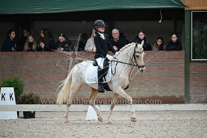 Harley Dikkerboom - Fudge VIP