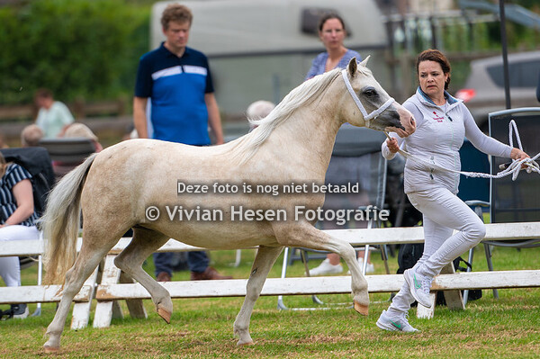 Regionale Keuring Heteren