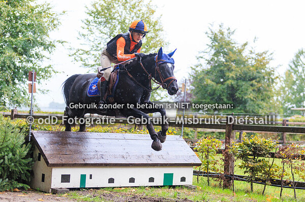 SGW Ysselsteyn paard B Pony L 05-10-25