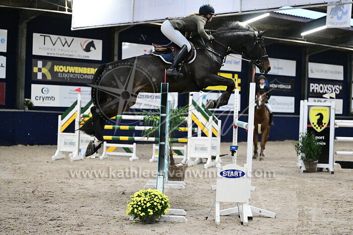 Zoe Schipper - Coraldinia Z