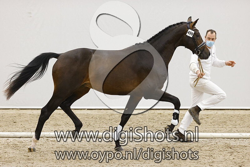 Nashville v. Indian Rock