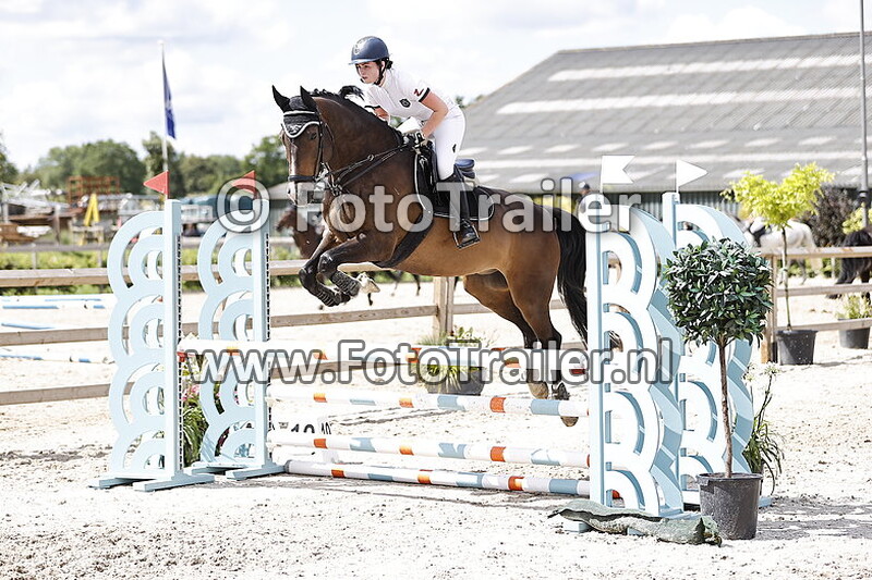 shannon van oirschot