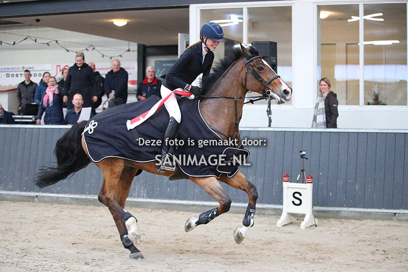 KNHS Regiokampioenschappen Utrecht 11-02-2023 1.35m